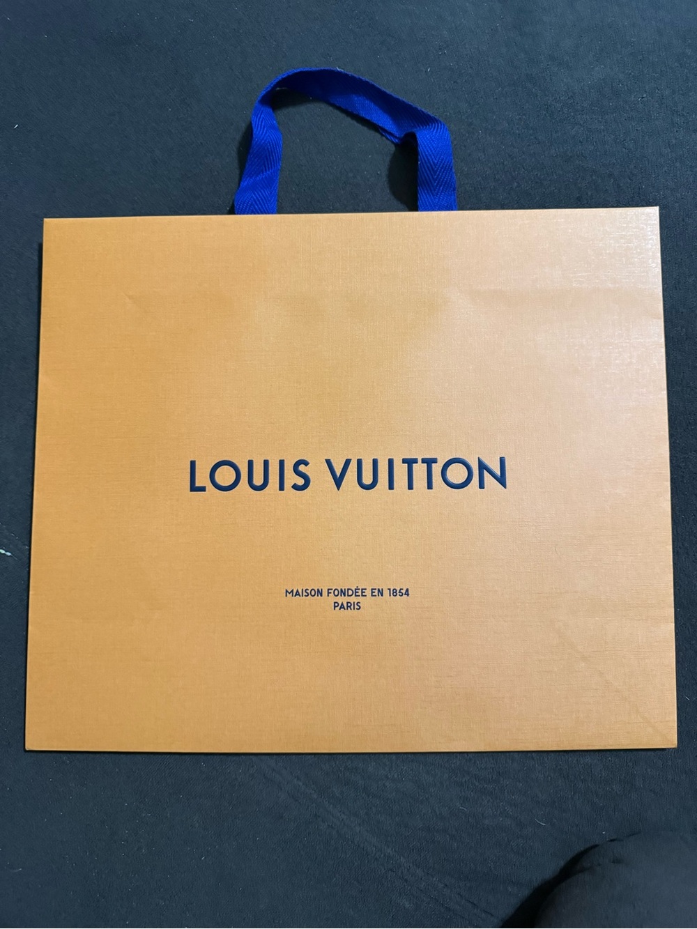 Louis Vuitton Branded Shopping Bag